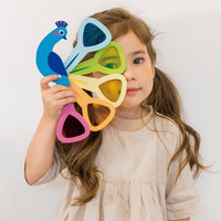 Peacock Colours Sensory and Educational Toy